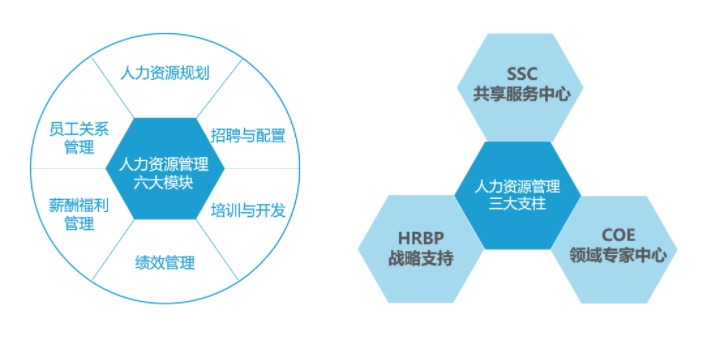 人力资源三支柱